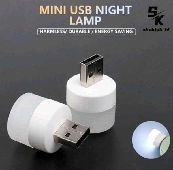 Mini USB Bulb