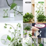 30Pcs Plant Hooks for Wall, Plant Clips for Climbing Plants