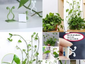 30Pcs Plant Hooks for Wall, Plant Clips for Climbing Plants